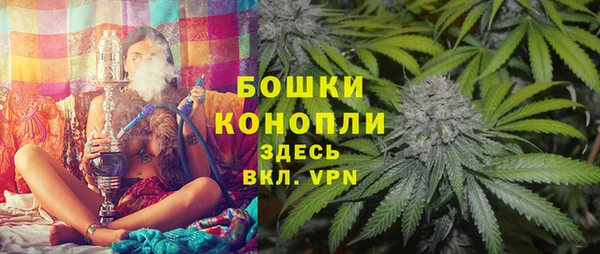 трава Верея