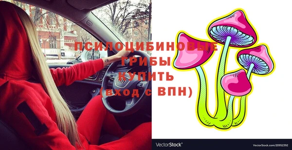 шишки Верхнеуральск