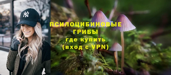 трава Верея