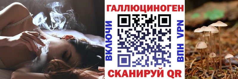 мега ТОР  Навашино  Псилоцибиновые грибы Magic Shrooms  купить  цена 